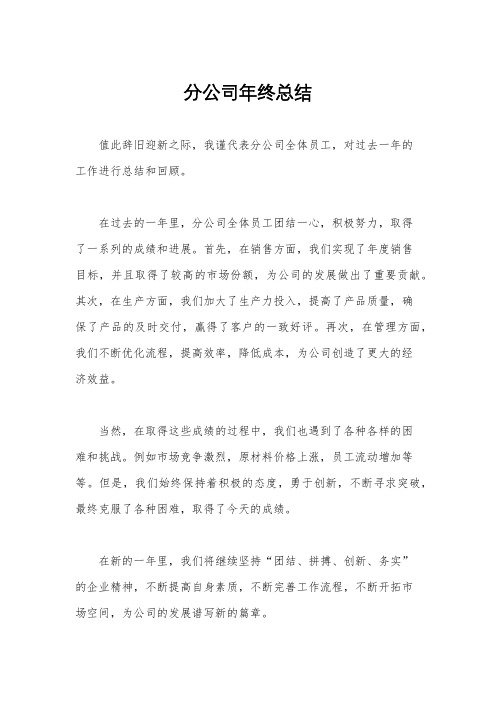 分公司年终总结