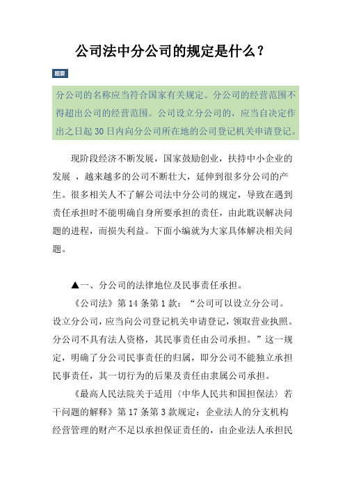 公司法中分公司的规定是什么？