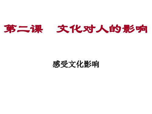 高二政治感受文化影响