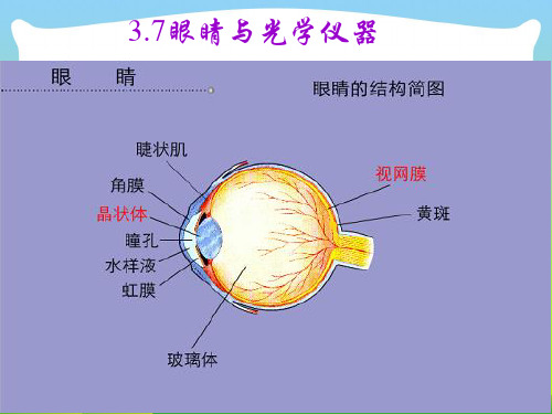 粤教沪科版八年级物理上册教学课件：3.7 眼睛与光学仪器 (共26张PPT)