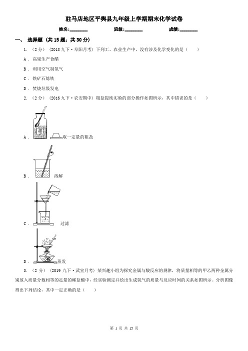 驻马店地区平舆县九年级上学期期末化学试卷