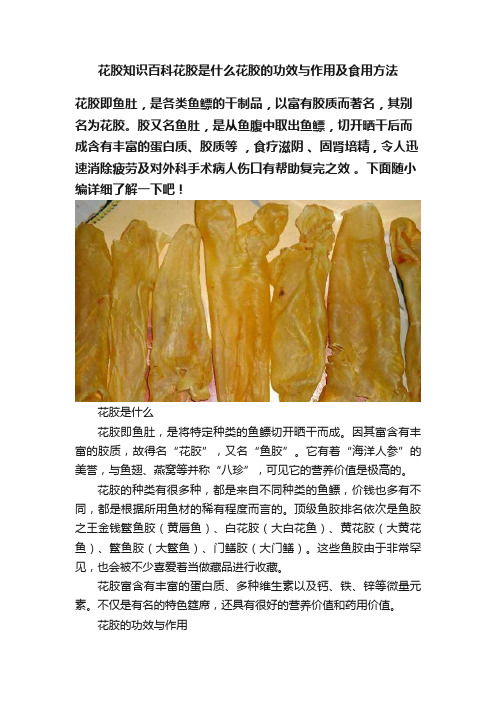 花胶知识百科花胶是什么花胶的功效与作用及食用方法