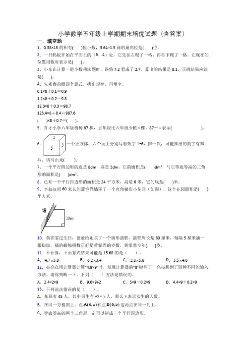 小学数学五年级上学期期末培优试题(含答案)