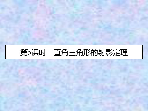 2019-2020学年数学人教A版选修4-1课件：第1讲 第5课时直角三角形的射影定理 