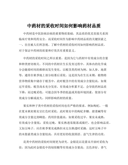 中药材的采收时间如何影响药材品质