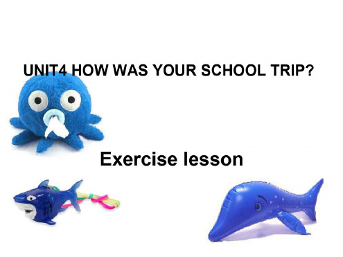 七年级英语How-was-your-school-trip课件