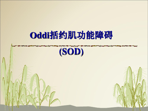 Oddi括约肌功能障碍(SOD)解析