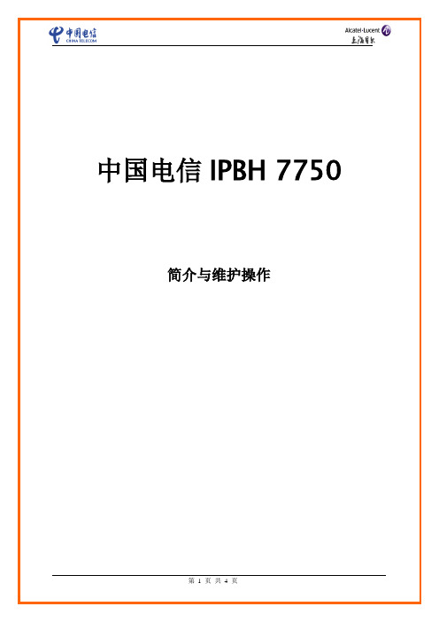 中国电信IPBH 7750