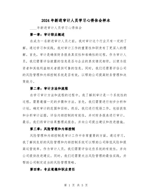 2024年新进审计人员学习心得体会样本(2篇)