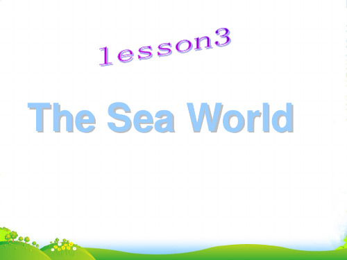 高中英语 Unit7 lesson3 The Sea world课件 北师大必修3