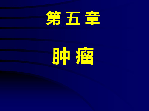 病理学(多图预警)：5. 肿瘤