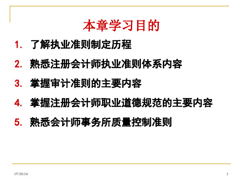 职业道德规范以及审计准则