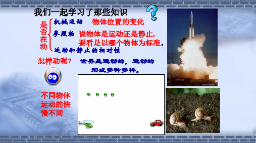 人教版物理八年级上册《运动的快慢》教学课件.pptx.ppt