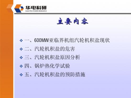 600MW机组汽轮机积盐与锅炉热化学试验