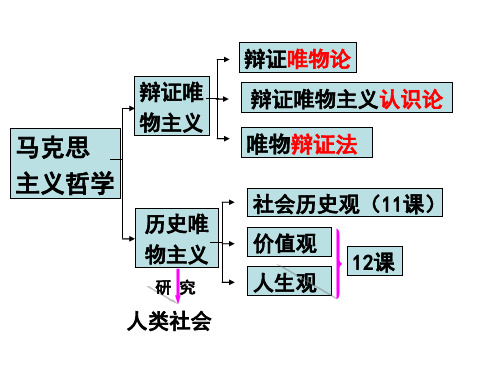 11.1 社会发展的规律