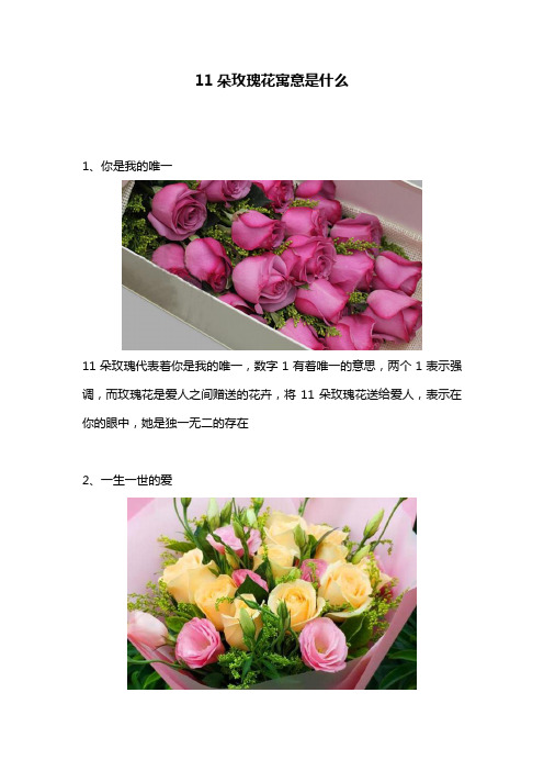 11朵玫瑰花寓意是什么