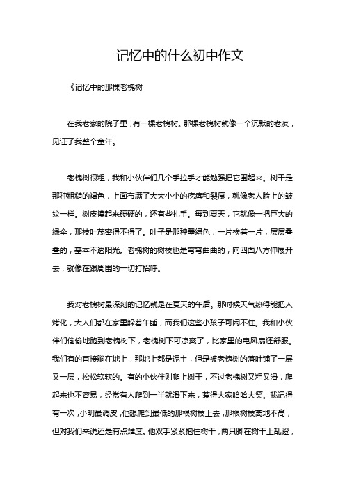 记忆中的什么初中作文