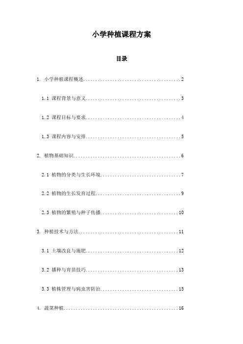 小学种植课程方案