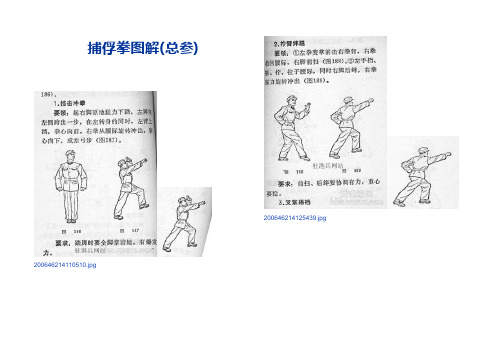 【侦察兵格斗术精品教程】捕俘拳图解