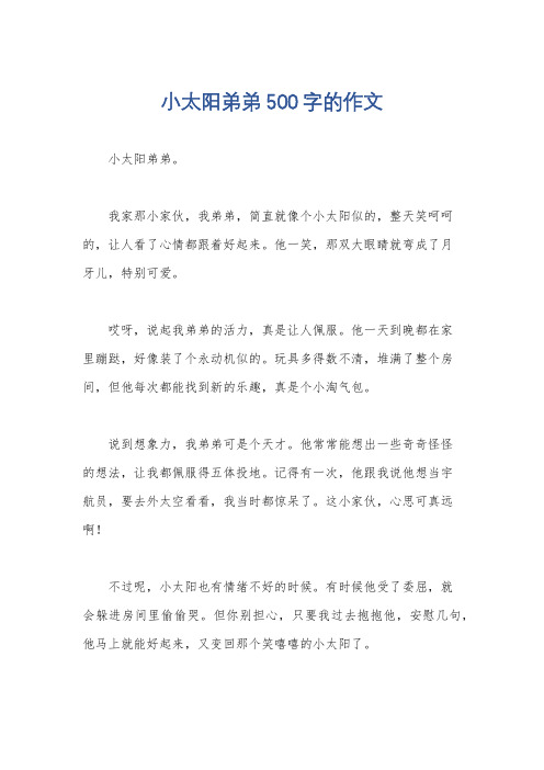 小太阳弟弟500字的作文