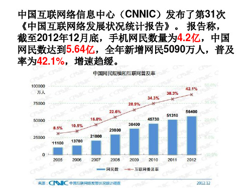 2012年中国网民调查