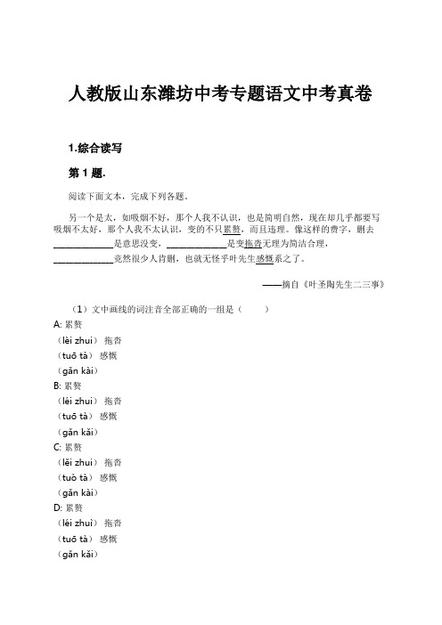 人教版山东潍坊中考专题语文中考真卷试卷及解析