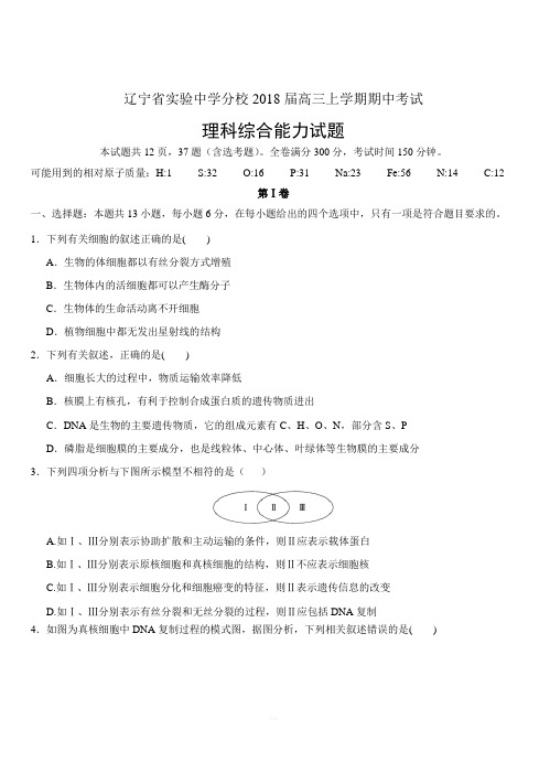 辽宁省实验中学分校2018届高三上学期期中考试理综试卷附答案