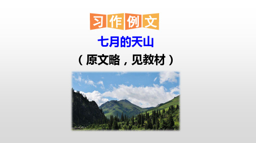 部编版四年级语文下册《七月的天山》教学课件PPT