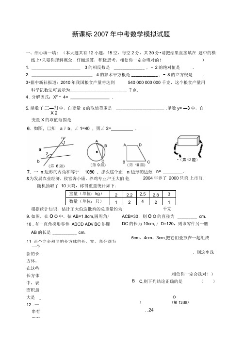 新课标2007年中考数学模拟试题-