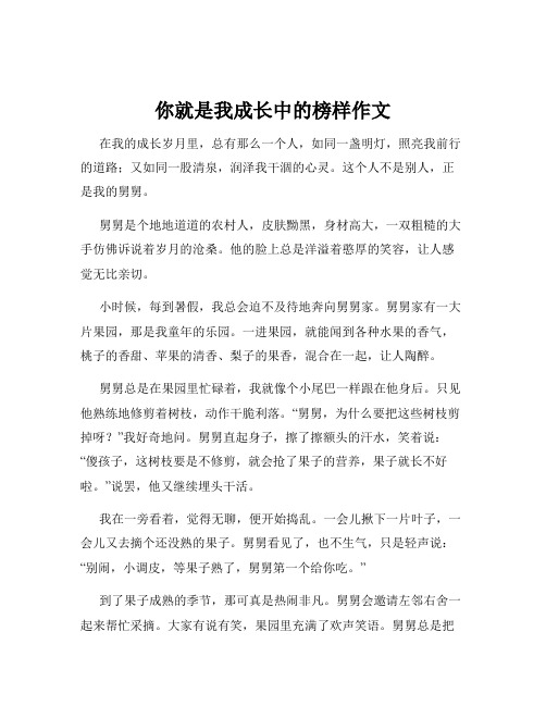 你就是我成长中的榜样作文