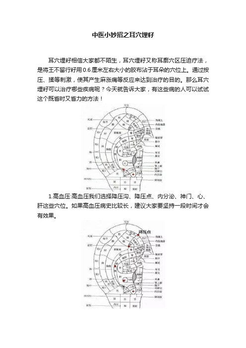 中医小妙招之耳穴埋籽