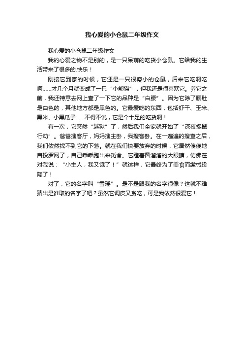 我心爱的小仓鼠二年级作文