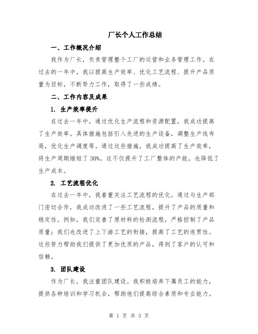 厂长个人工作总结