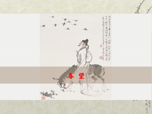 《春望》精品课件人教部编版1