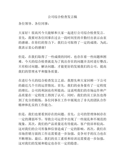 公司综合检查发言稿