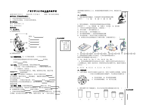 人教2011初中生物七年级上册《科学·技术·社会  人类探索微观世界不可缺少的工具——显微镜》_21