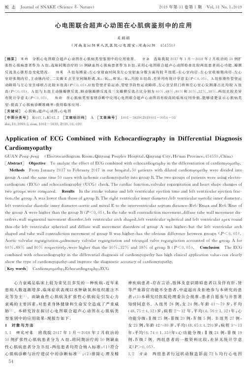 心电图联合超声心动图在心肌病鉴别中的应用