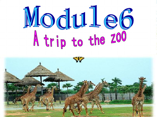 外研七年级英语上册Moudle6 A trip to the zoo 课件