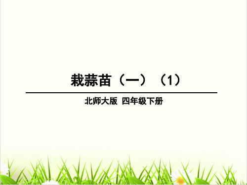 北师大版《栽蒜苗(一)》PPT(精选)1