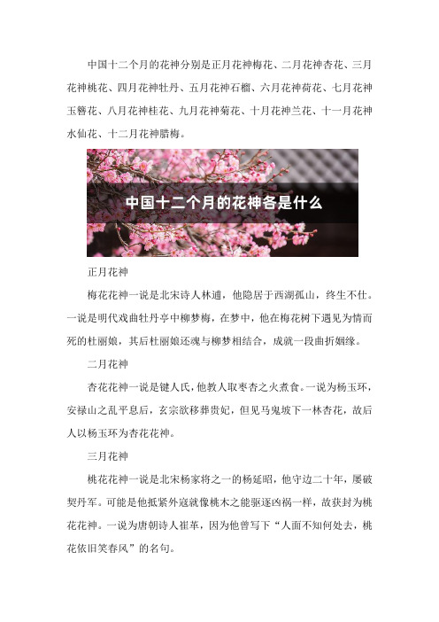 中国十二个月的花神各是什么