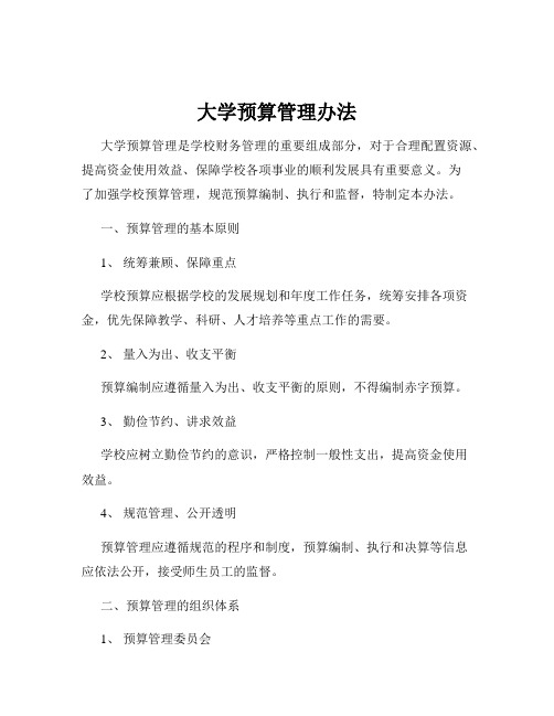 大学预算管理办法