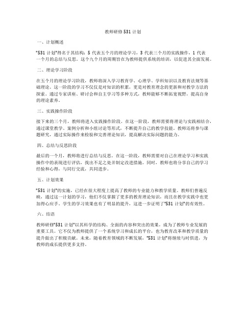 教师研修531计划