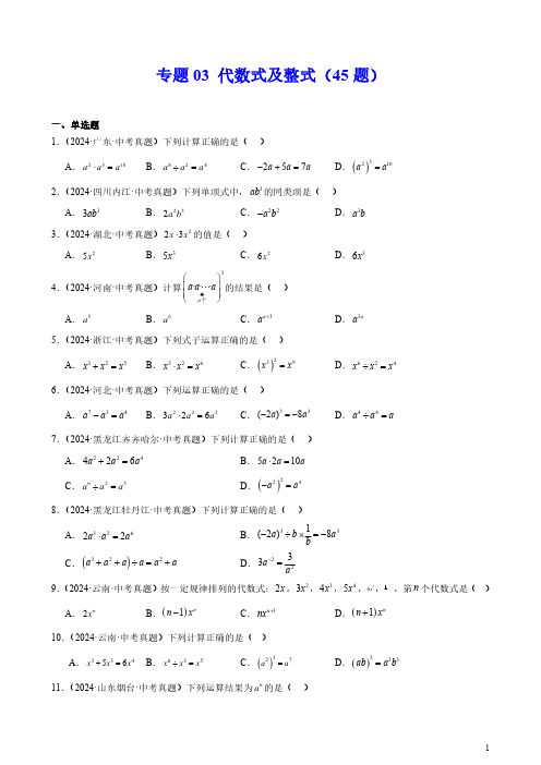 专题03 代数式及整式(45题)(原卷版)--2024年中考数学真题分类汇编