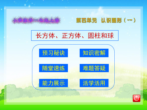 人教版一年级上册数学长方体、正方体、圆柱和球