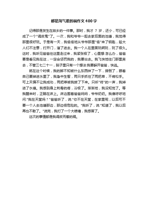 都是淘气惹的祸作文400字