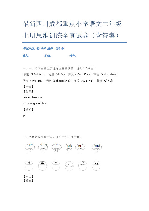 最新四川成都重点小学语文二年级上册思维训练全真试卷(含答案)