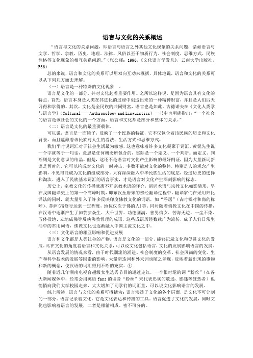 语言与文化的关系综述