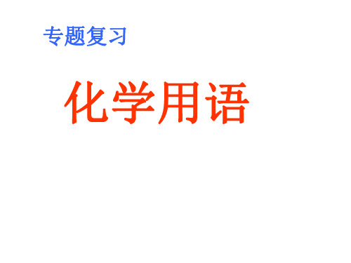 九年级化学化学用语复习1-P