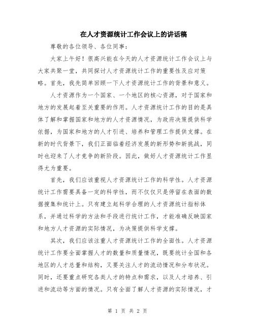 在人才资源统计工作会议上的讲话稿