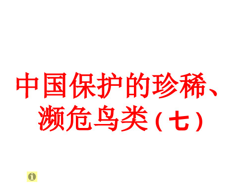 幼儿中文杜曼闪卡百科卡-鸟系列 中国保护的珍稀、濒危鸟类(七)雉科(3)